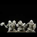 Dwarf Warriors BOX
