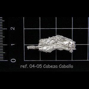 04-05 1-3 Cabeza Caballo